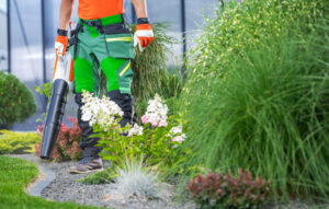 Gardener Using Leaf Blower in Vibrant Flower Bed on Sunny Day