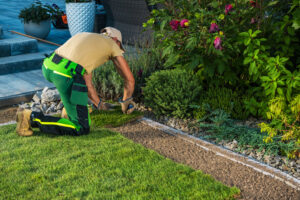 Landscaper Cut Natural Grass Turfs to Size